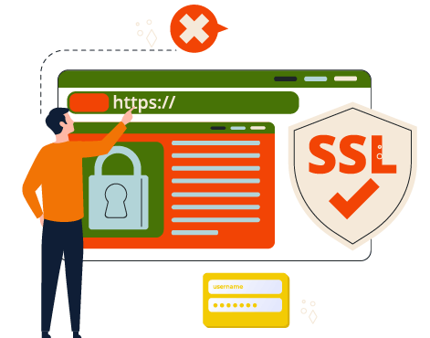 WordPress Installation  WordPress Installation